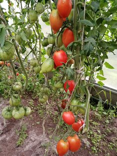 Минусинские стаканы