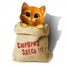 КОТ В МЕШКЕ за 300