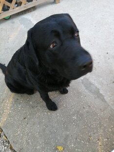 Видюшки - в потоке жизни, все что вокруг меня