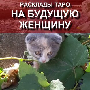 НА БУДУЩУЮ ЖЕНЩИНУ видеорасклады для мужчин