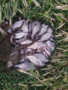 Рыбалка/Рыбацкая удача/ разное