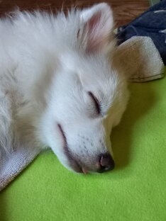 Позы для сна!