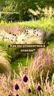 Злаки для вашего сада 