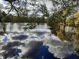 Пейзажные зарисовки