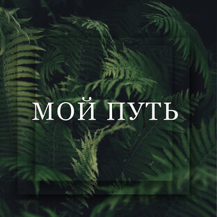 От борщей до миллионов 