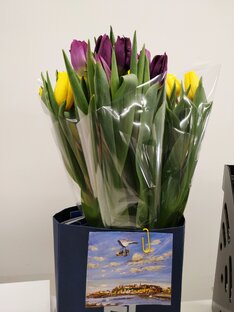 Шорт-лист для идеальных книжных выходных