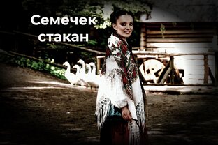 Семечек стакан