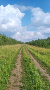 Лето в деревне 2021