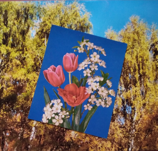 И в октябре бывает май 