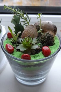 Цветочные приметы