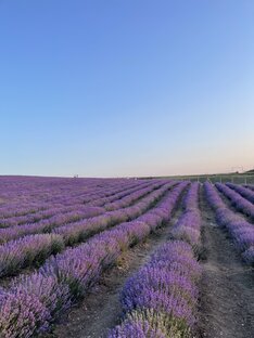 Практики и техники самопомощи 