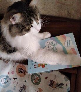 Книжная полка 📚