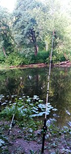 Рыбалка🐟🎣 на данную и по поплавочную удочку на реке лесной воронеж.