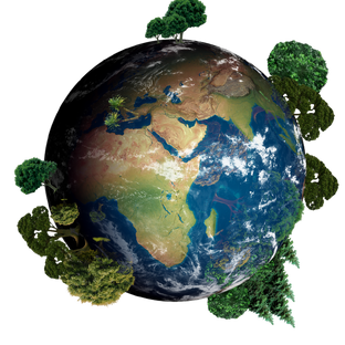Окружайка - 1 класс