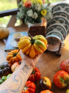 Сад и огород