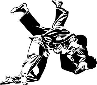 Judo