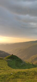 Путешествия