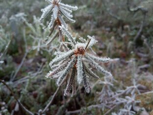 Для медитации и успокоения