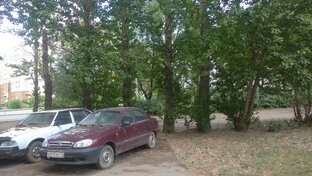 Тест экомуляторного тримера