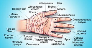 Точки для здоровья: выбираем, запоминаем