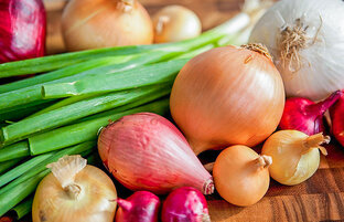 Всё про лук