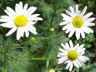 Полезные советы