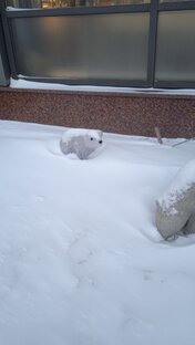 Рубрикатор 2020