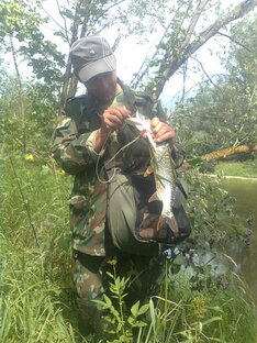 Речные хищники.