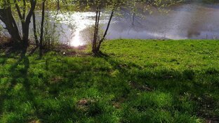 Разные ситуации-короткие посты