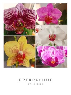 Цветочки