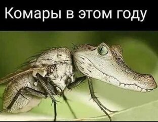 Отдых