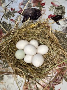 Изгородавдеревню