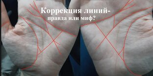 Коррекция линий- реально ли это?