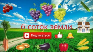 Канал 6 соток земли