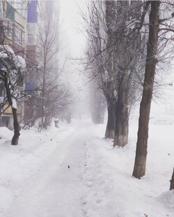 Поэзия дилетанта 