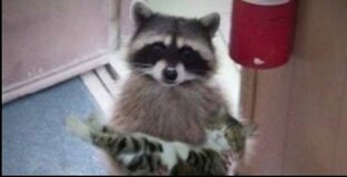 Интересный мир 