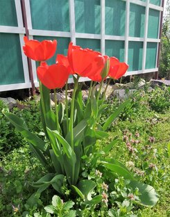 Про переезд на Юг