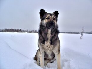 Морозное утро с. Порфентиво 22 г.