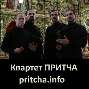 О коллективе