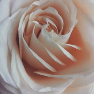 Гороскопы на каждый день