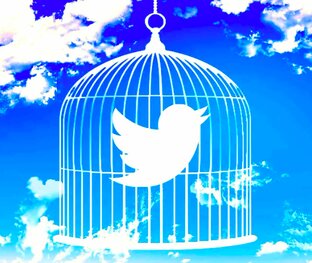 Шутки из Твиттера