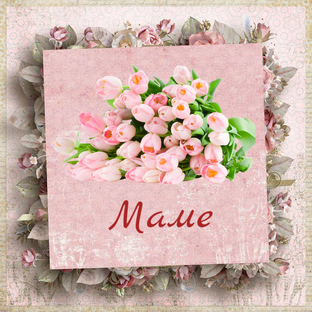 Поздравления с Днём Рождения  