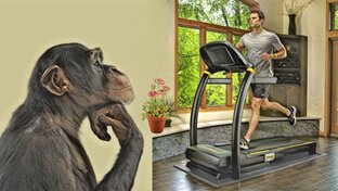 Саморазвитие