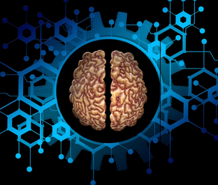 Нейробиология и психология