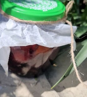 Закрутки на зиму.