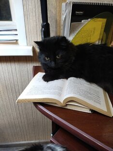 Цитаты и высказывания