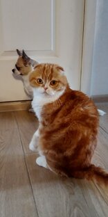 Топ-2 анекдота