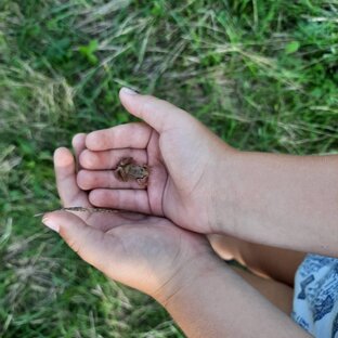 Влоги каждый день