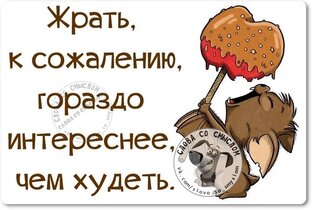 Итоги похудения по месяцам