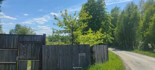 Природа Evelin